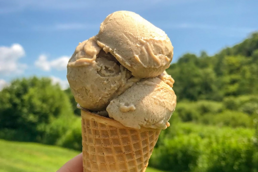 Salted Caramel Cashew Ice Cream